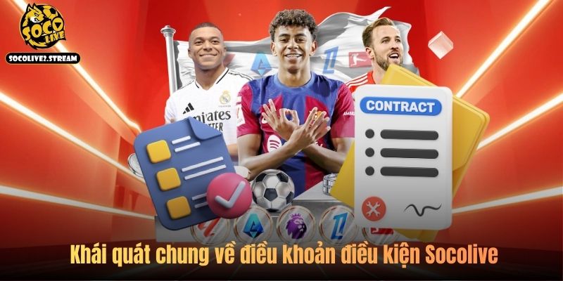 Khái quát chung về điều khoản điều kiện Socolive