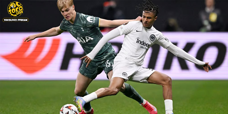 Lịch sử đối đầu đang nghiêng hẳn về phía đội khách Tottenham