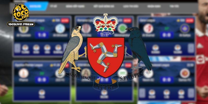 Thông tin khái quát về giấy phép hoạt động Socolive